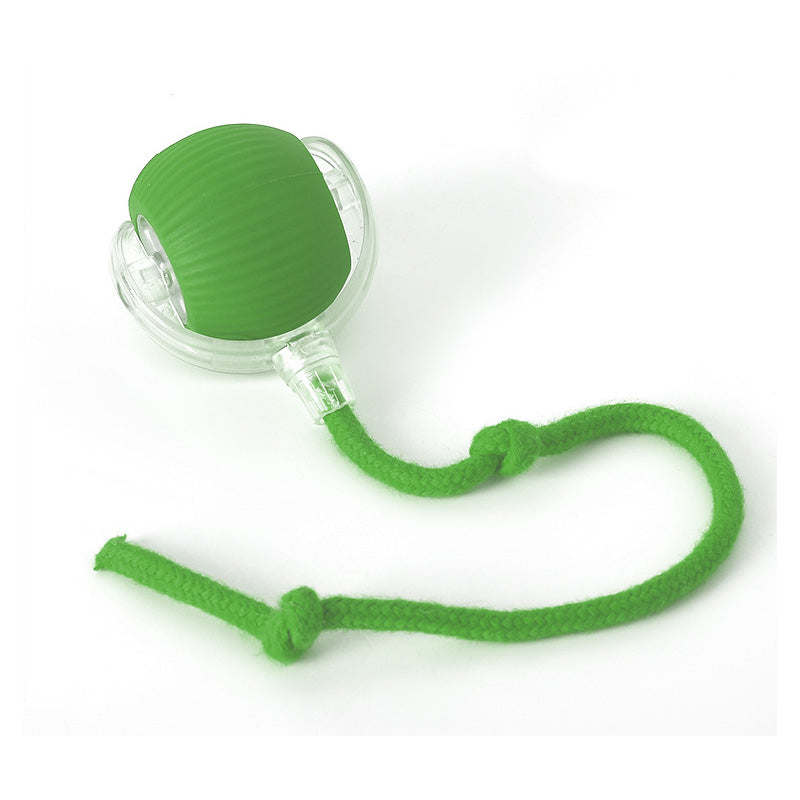 צעצוע קופצני עבור חתולים פעילים וסקרנים 