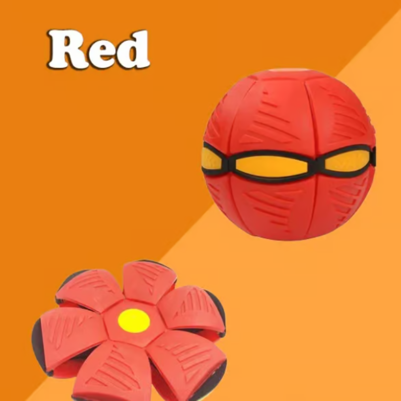 Il giocattolo rimbalzante che risveglia tutti i cani 