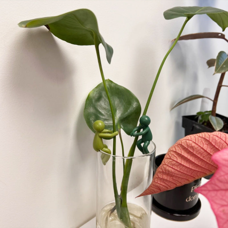 Stöd för dekorativa och flexibla sticklingar för växter (x3) 