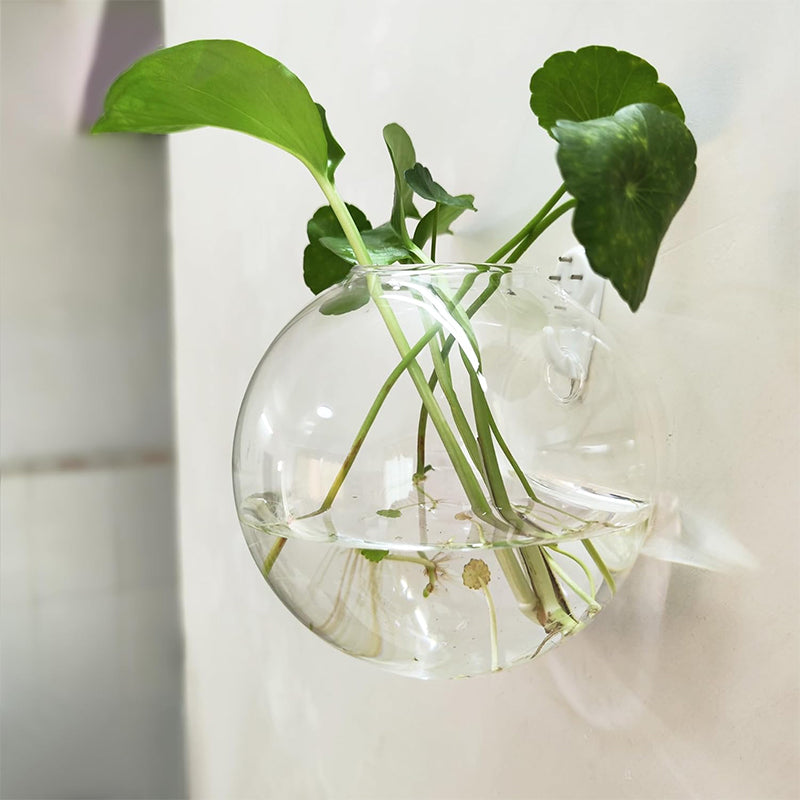 Puneți-vă plantele în valoare pe pereții dumneavoastră, fără a perfora 