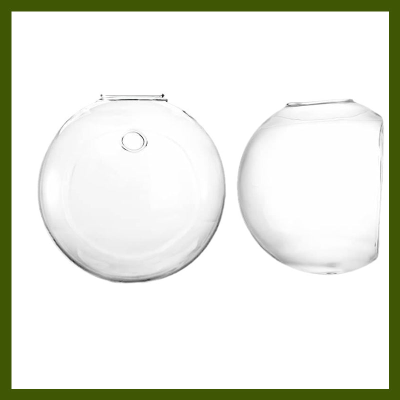 Puneți-vă plantele în valoare pe pereții dumneavoastră, fără a perfora 