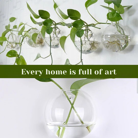 Puneți-vă plantele în valoare pe pereții dumneavoastră, fără a perfora 