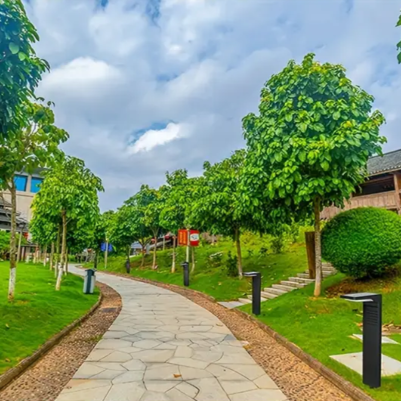 Iluminați-vă grădina fără electricitate și fără efort 