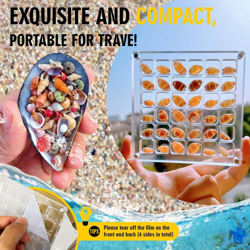 スタイルと安全性を持って貝殻を展示してください 