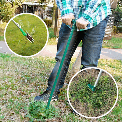 Extracteur de Mauvaises Herbes en Acier pour le Jardin